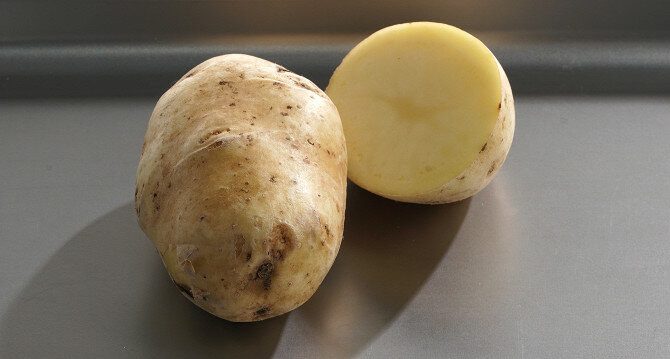Самые лучшие сорта картофеля на 2020 год