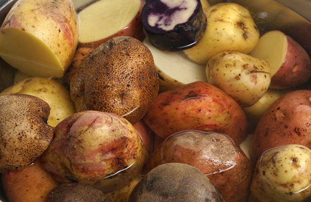 Описание сорта картофеля аризона