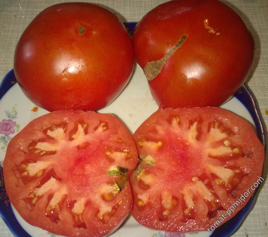 Лучшие сорта томата для посадки на дачном участке: «король королей»