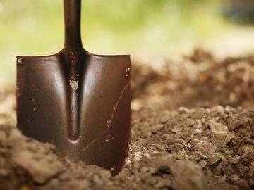 Какое удобрение вносить осенью под картофель, как подготовить почву?