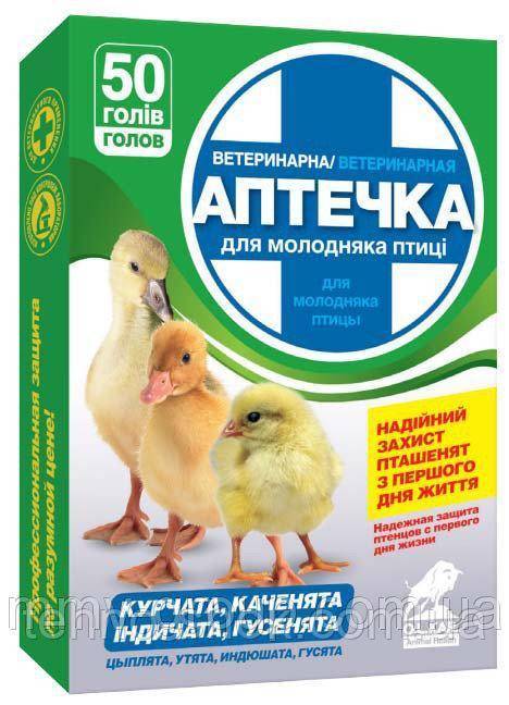 Аптечка для цыплят: список необходимых лекарств