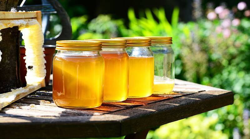 Как проверить мёд натуральный или нет в домашних условиях - статейный холдинг