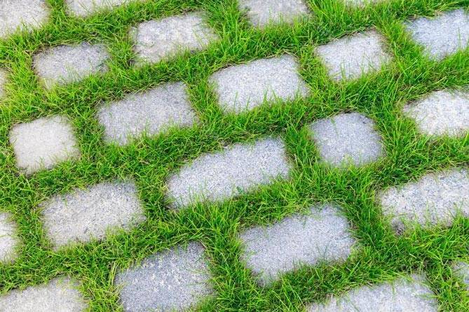 Способы борьбы с травой между тротуарной плиткой: методы, средства обработки