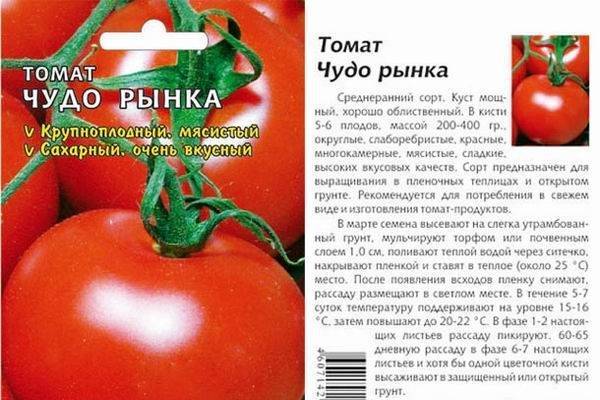 Томат "марфа" f1: описание гибридного сорта голландской селекции, рекомендации по уходу и выращиванию плодов-помидоров