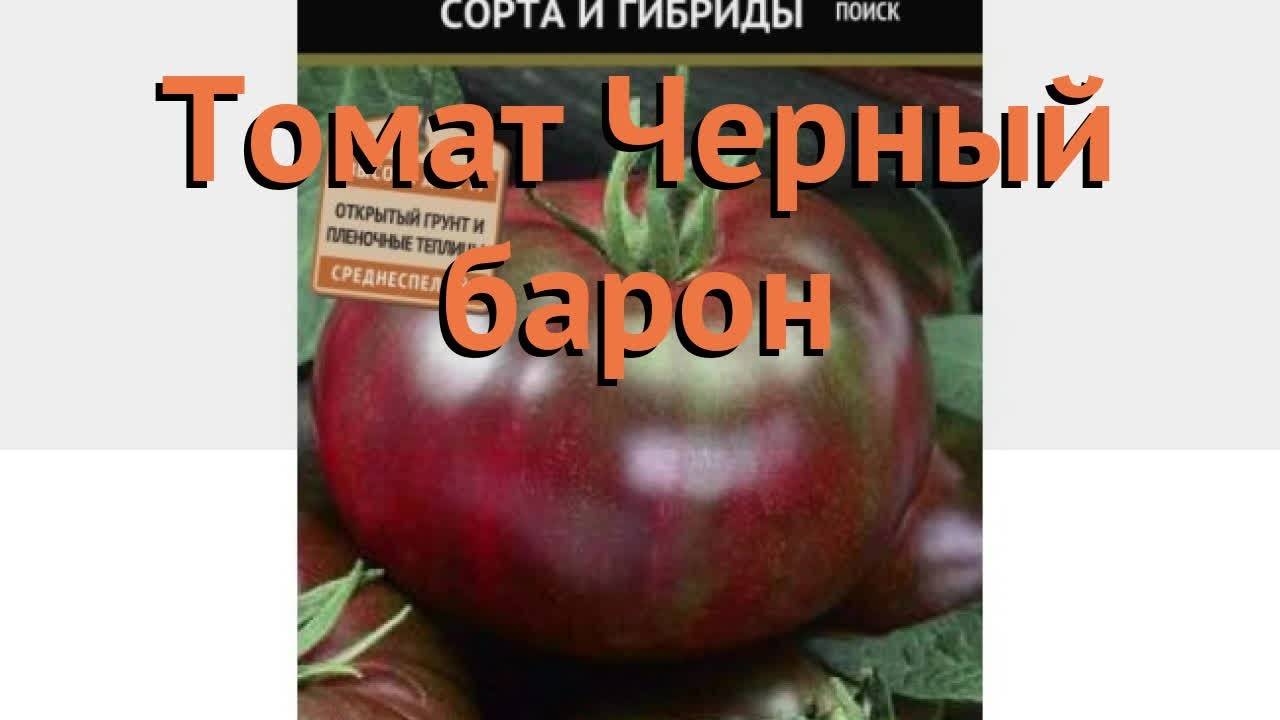 Помидоры барон описание сорта фото