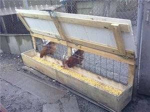 Делаем кормушку для цыплят из подручных материалов
