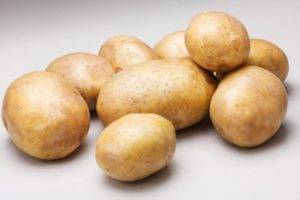 Сорт картофеля «фаворит» – описание и фото