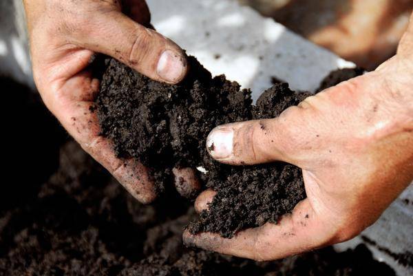 Как определить какого типа почва на огороде