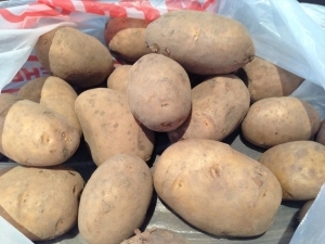 Сорт картофеля леди клер описание фото отзывы