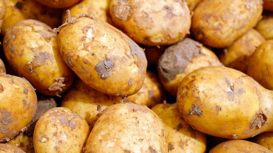 Температура хранения картофеля в домашних условиях