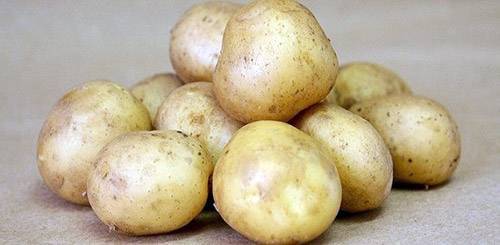 Картофель "крепыш": описание сорта, фото и главные характеристики