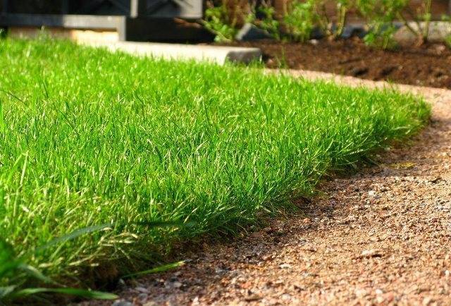 Технология укладки рулонного газон: пошаговая инструкция