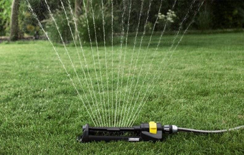 О дождевателе для полива: разбрызгиватель воды для огорода и газона