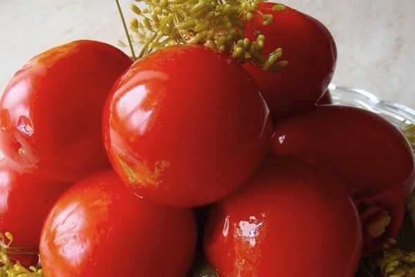 Томат «кукла маша» f1: описание сорта, особенности выращивания и профилактика болезней помидоры