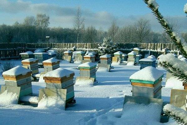 Как правильно утеплить улей для комфортной зимовки пчел на улице?