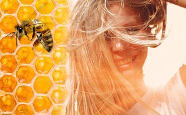 Свойства маточного пчелиного молочка, как применять