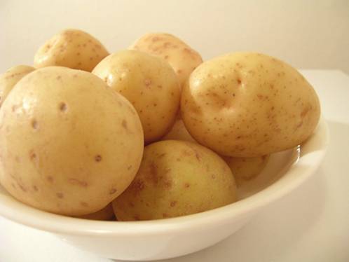 Безупречный ранний картофель «артемис»: описание сорта, фото, характеристика