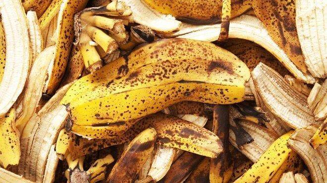 Банановая кожура для комнатных растений: рецепт приготовления
