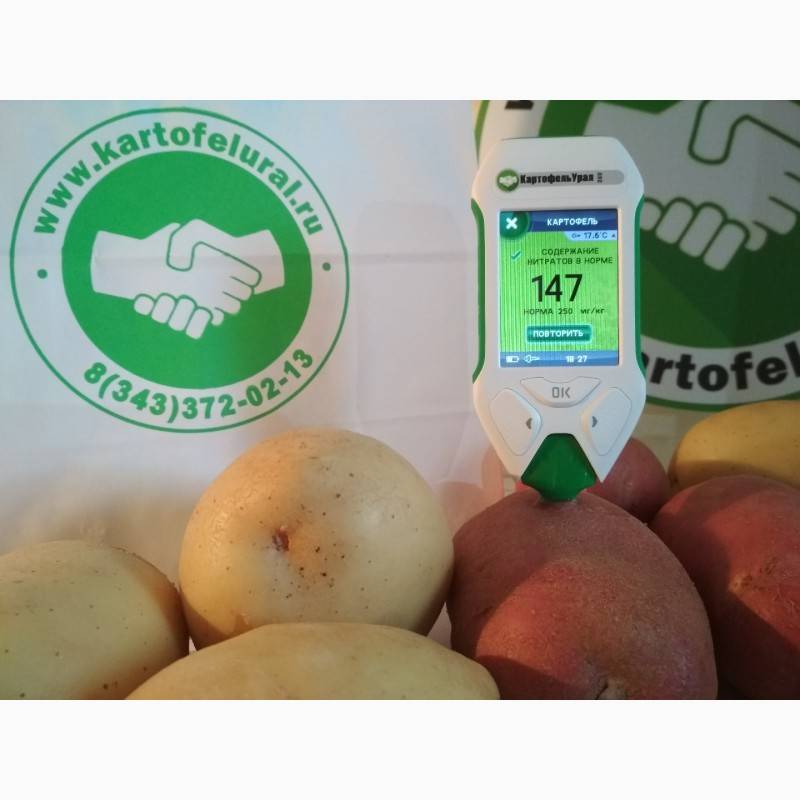 Рекомендуемые для выращивания сорта картофеля