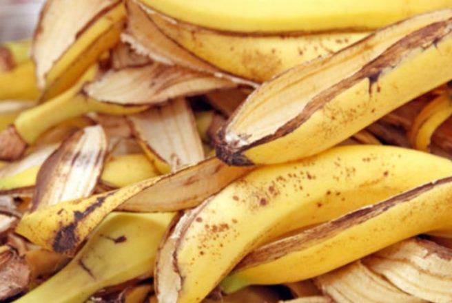 Удобрение из банановой кожуры: необычное применение привычного продукта