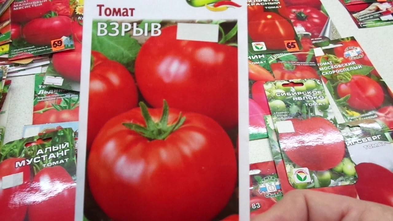 Томат "взрыв": фото и описание сорта, характеристики и урожайность плодов-помидоров, рекомендации по выращиванию