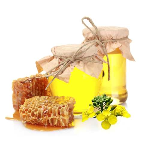 Целебные свойства рапсового меда и особенности его применения