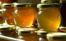 25 видов меда: его полезные свойства и противопоказания, для мужчин, женщин и детей