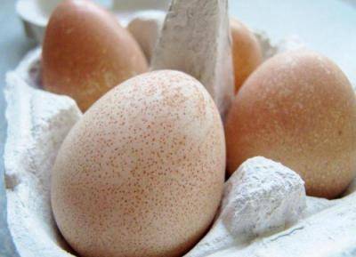 Яйца цесарки: полезны или нет?