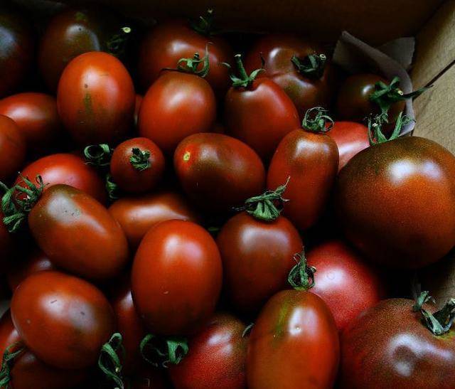 Томат "сладкая гроздь": описание сорта и фото, рекомендации по уходу и выращиванию отличного урожая помидор