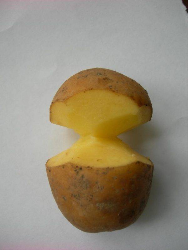 Статья по теме "нестандартные и эффективные методы выращивания картофеля"