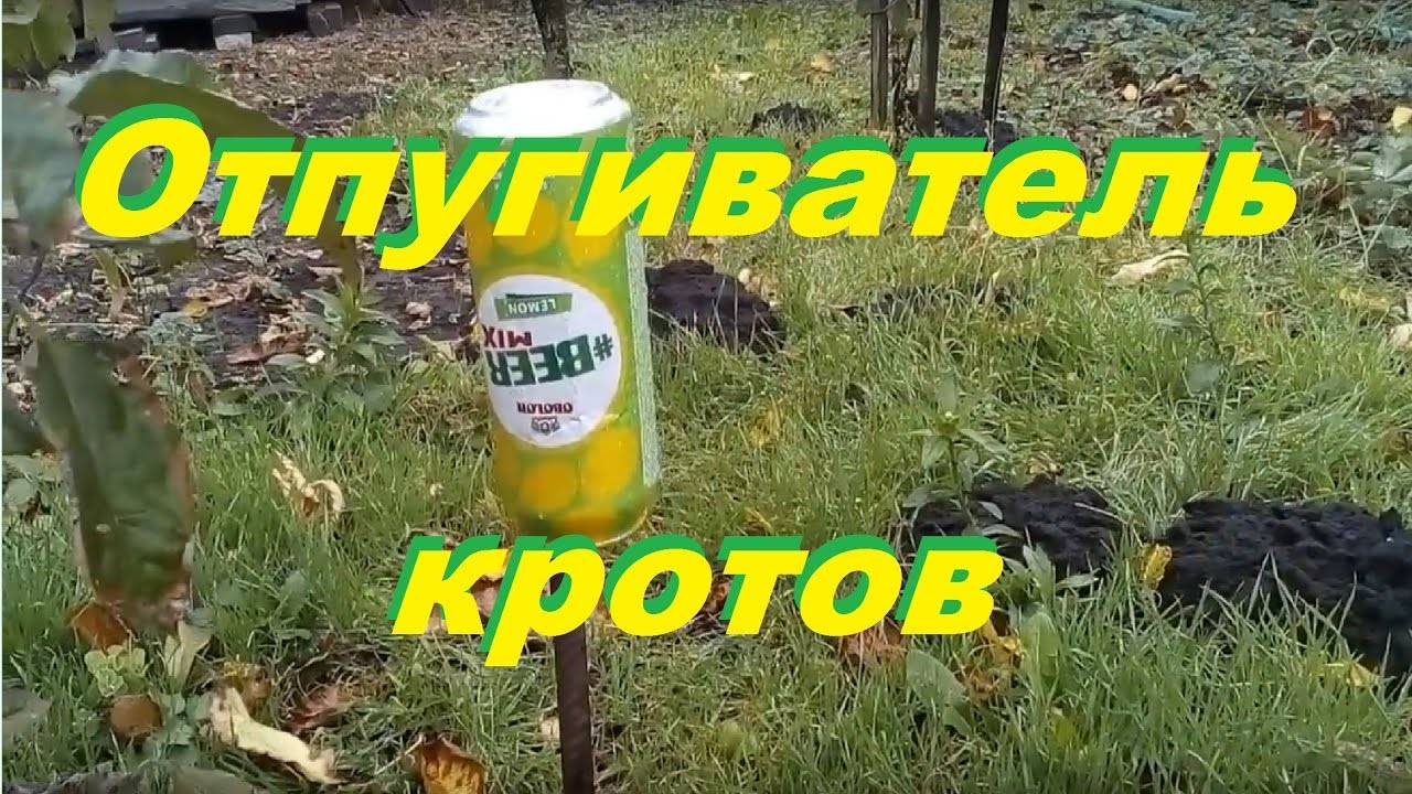 Вертушка из пивной банки. Отпугиватель от кротов из пивной банки. Отпугиватель птиц из пивной банки. Вертушка от кротов. Вертушки из пивных банок от кротов.