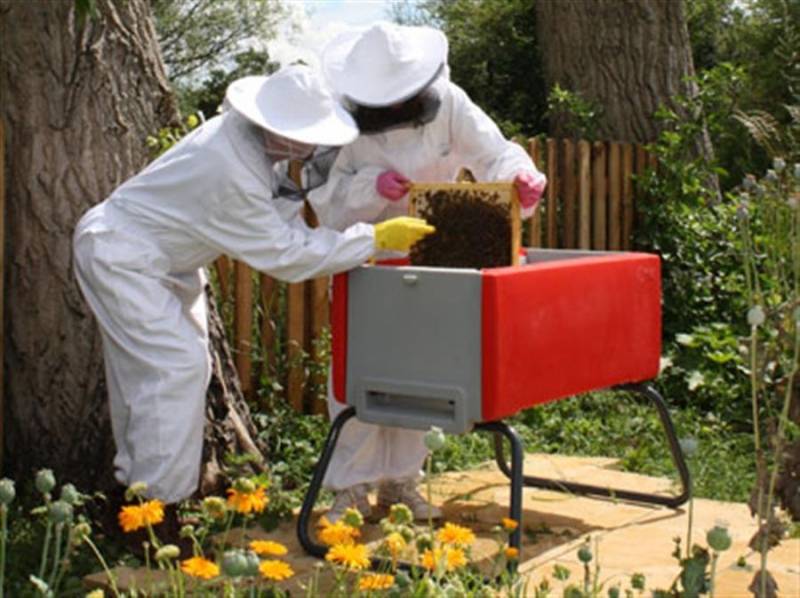 Правильная вторая откачка меда — залог отличного урожая нектара пчел!