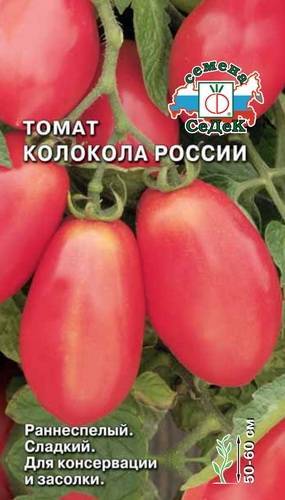 Все о томате Колокола России: агротехника, характеристики и описание сорта