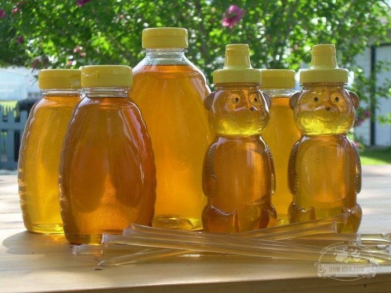 Как правильно хранить мед в домашних условиях?