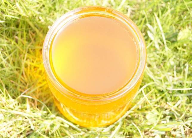 Луговой мед: польза и вред, лечебные свойства и противопоказания