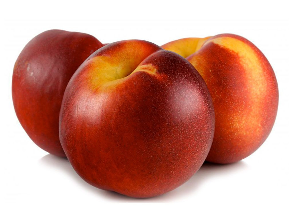 Нектарин яблочный: описание сорта и 4 этапа ухода
