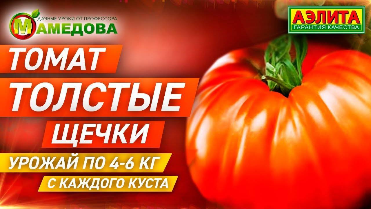 Томат розовые щечки: отзывы, фото, урожайность | tomatland.ru