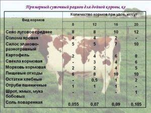 Сколько сена нужно корове на зиму тонн
