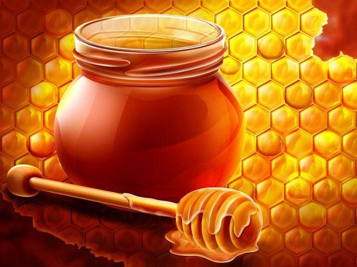 Мед натощак как эффективное лекарственное средство от многих болезней.