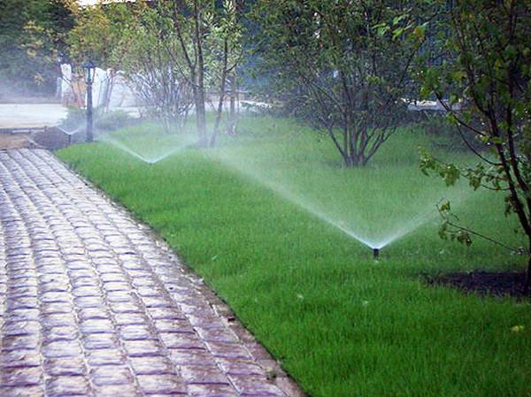 Выбираем поливалку для газона: виды систем полива и инструкция по их монтажу