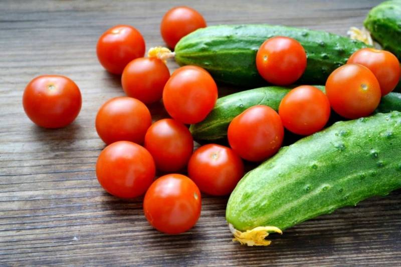 Подкормка дрожжами: помидоры и огурцы на огородном участке