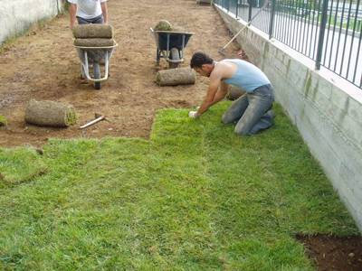Как укладывать рулонный газон самостоятельно: подробная инструкция