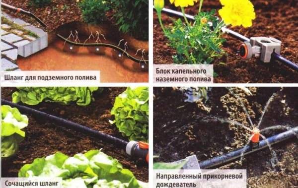 «умный» полив домашних растений: принципы и виды систем