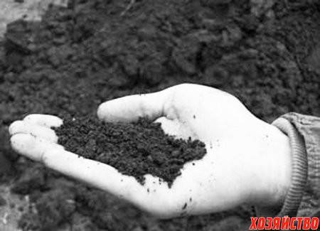 Кислотность почвы — важность ph грунта для растений
