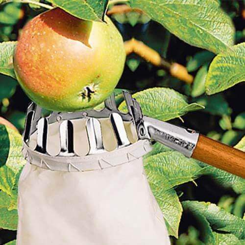 Приспособления для сбора яблок: делаем плодосъемник своими руками