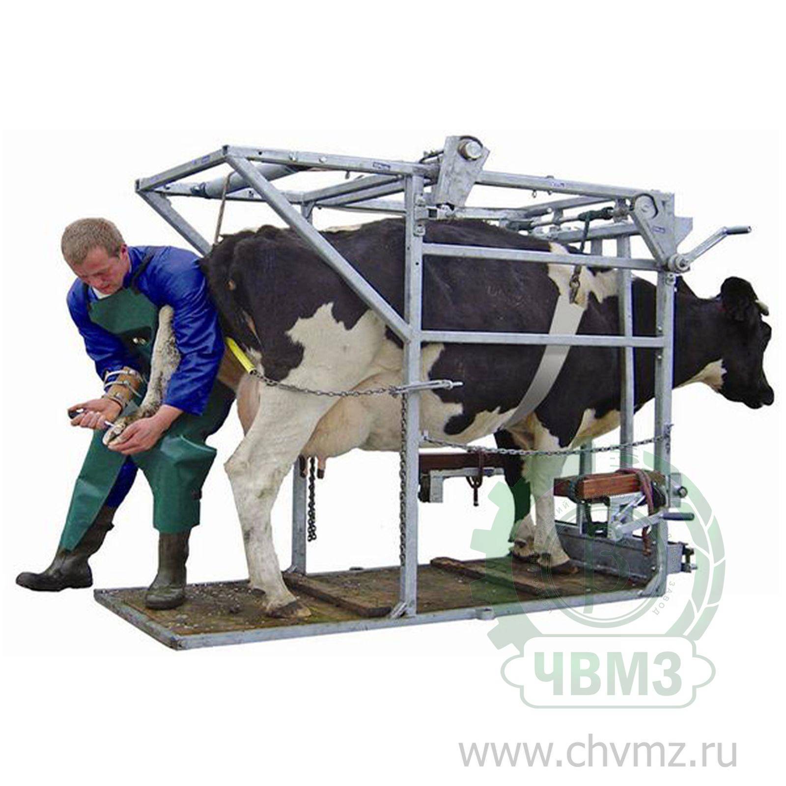 Станок для ветеринарных процедур и обработки копыт скота - усс-агро