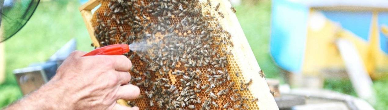 Обработка бипином пчел весной