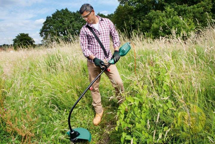 Стрижка газона: когда и как косить траву для лучшего эффекта