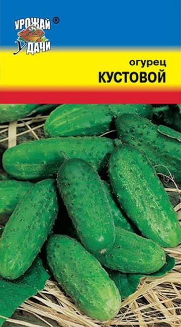 Выращивания, характеристика и описание огурца сорта кустовой