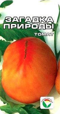 Томат загадка: описание сорта, отзывы, фото, урожайность | tomatland.ru
